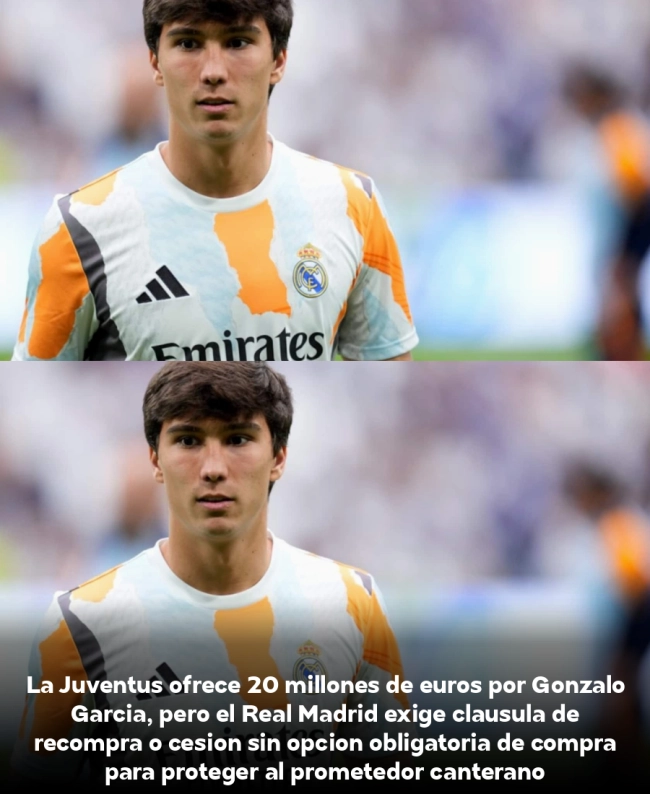 ¡BOMBAZO! La Juventus ofrece 20M€ por la joya del Madrid: el Real Madrid pone condiciones inesperadas ¡BOMBAZO! La Juventus ofrece 20M€ por la joya del Madrid: el Real Madrid pone condiciones inesperadas