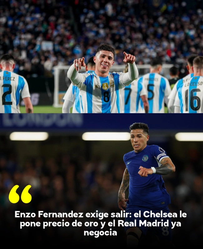 Enzo Fernández exige salir: el Chelsea le pone precio de oro y el Real Madrid ya negocia Enzo Fernández exige salir: el Chelsea le pone precio de oro y el Real Madrid ya negocia