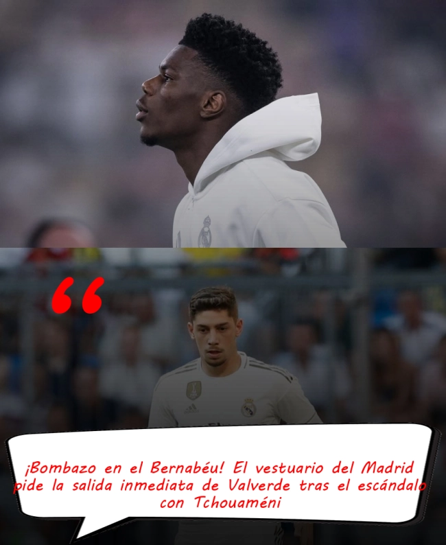 ¡Bombazo en el Bernabéu! El vestuario del Madrid pide la salida inmediata de Valverde tras el escándalo con Tchouaméni ¡Bombazo en el Bernabéu! El vestuario del Madrid pide la salida inmediata de Valverde tras el escándalo con Tchouaméni