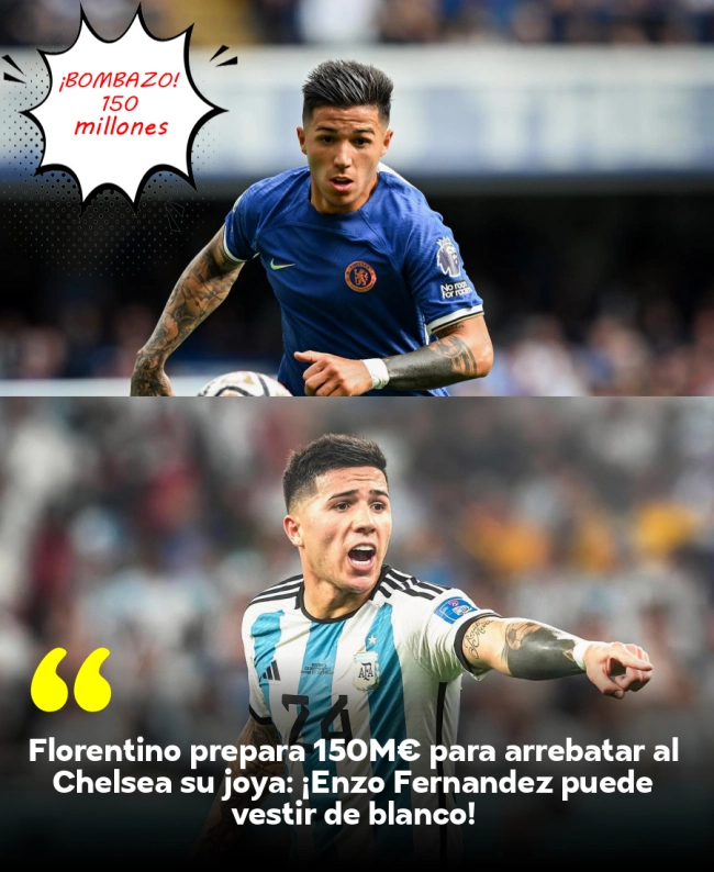 Florentino prepara 150M€ para arrebatar al Chelsea su joya: ¡Enzo Fernández puede vestir de blanco! Florentino prepara 150M€ para arrebatar al Chelsea su joya: ¡Enzo Fernández puede vestir de blanco!