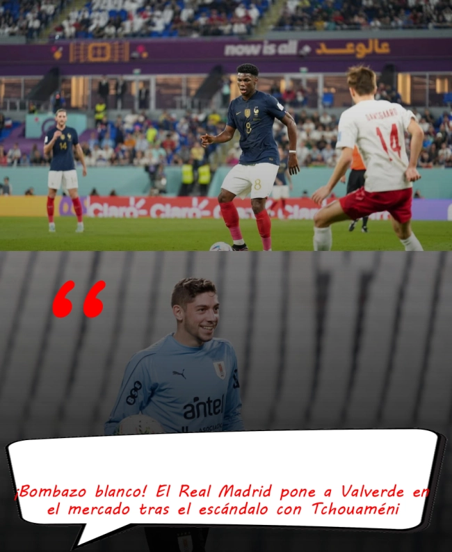 ¡Bombazo blanco! El Real Madrid pone a Valverde en el mercado tras el escándalo con Tchouaméni ¡Bombazo blanco! El Real Madrid pone a Valverde en el mercado tras el escándalo con Tchouaméni